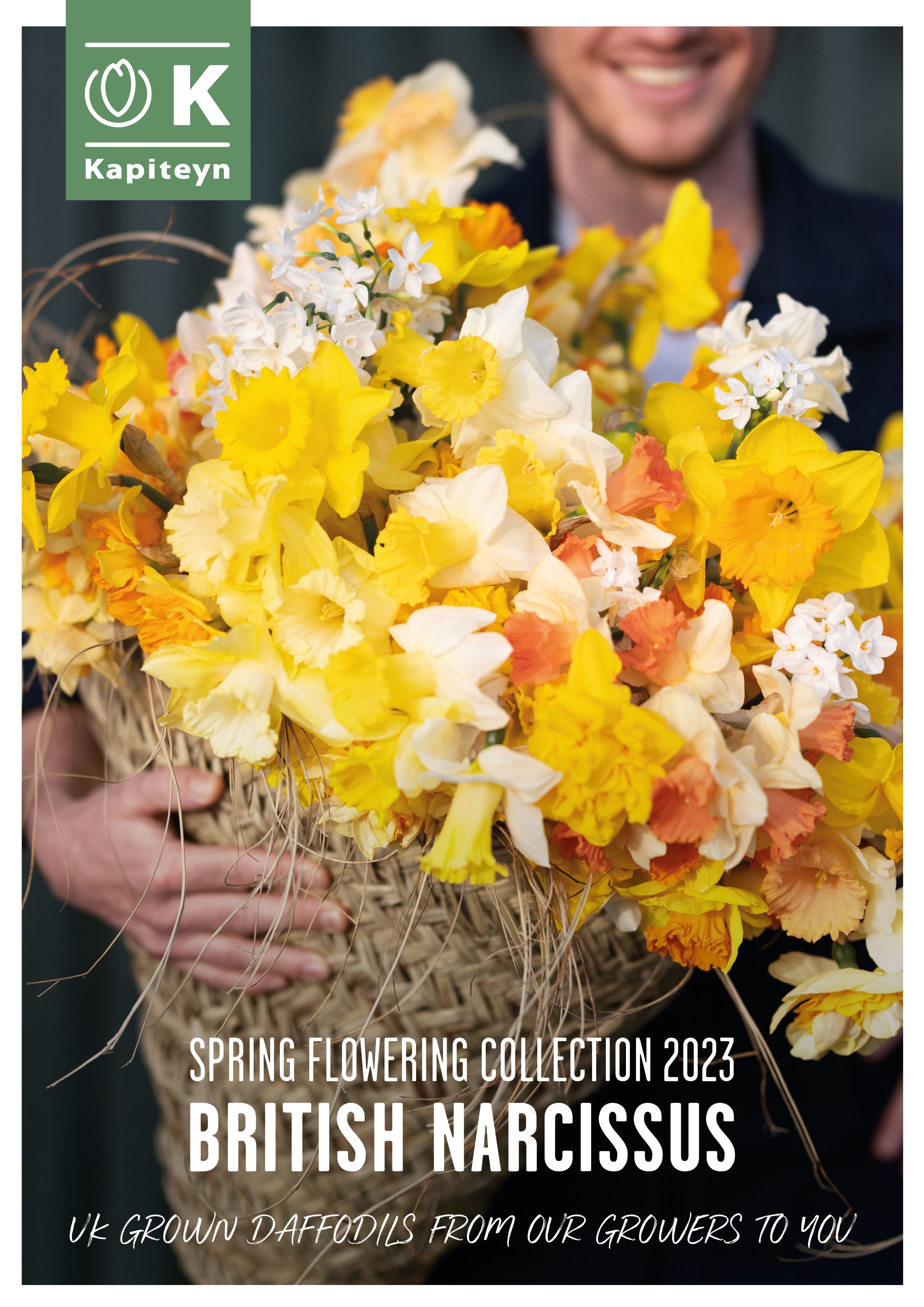 British Narcissus - Spring 2023